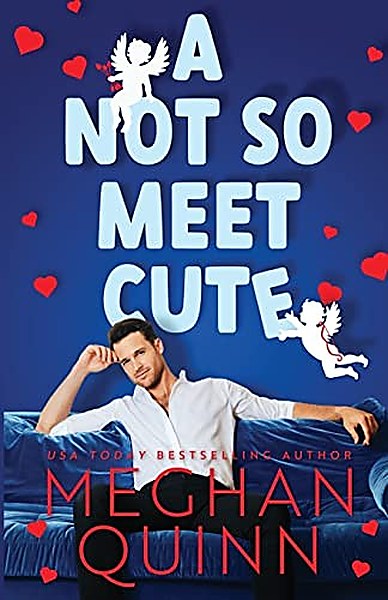 A Not So Meet Cute cover